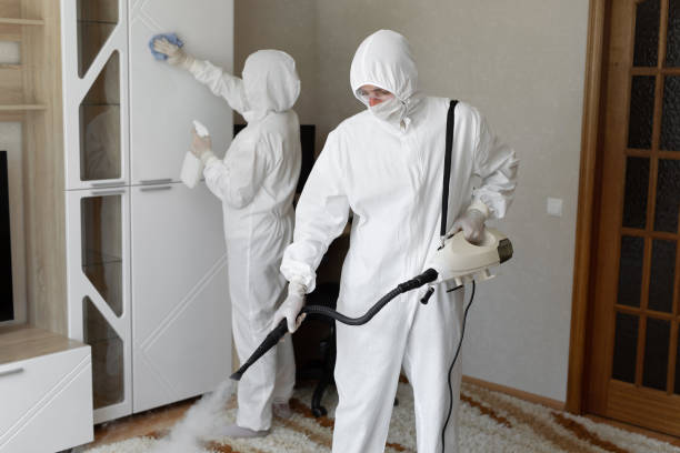 Best Basement Mold Removal  in Lexington, WA